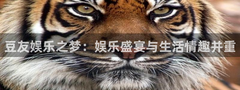 jdb电子招财猫爆率技巧：豆友娱乐之梦：娱乐盛宴与生活情趣并重