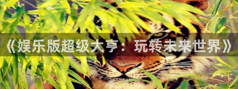 澳门jdb电子游戏：《娱乐版超级大亨：玩转未来世界》