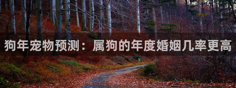 jdb电子平台注册：狗年宠物预测：属狗的年度婚姻几率更高