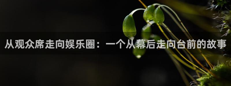 jdb电子游戏有人赢吗：从观众席走向娱乐圈：一个从幕后走向台前的故事