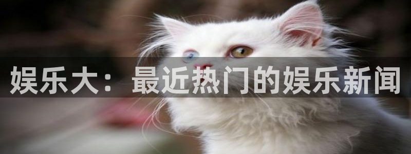 jdb电子夺宝下载：娱乐大：最近热门的娱乐新闻