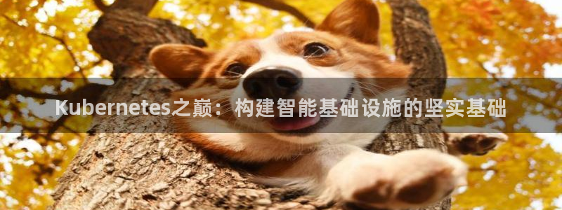 jdb电子夺宝官网：Kubernetes之巅：构建智能基础设施的坚实基础
