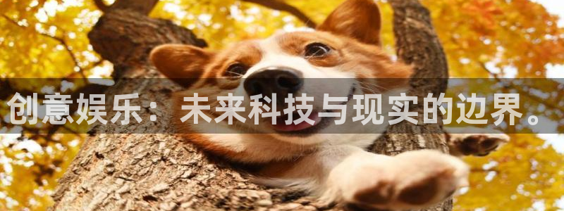 jdb电子招财猫爆率技巧：创意娱乐：未来科技与现实的边界。