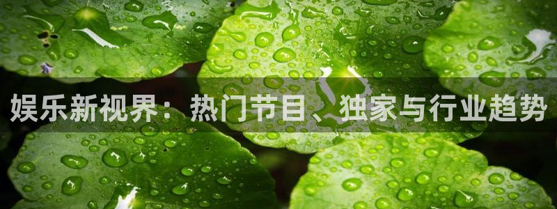 jdb电子网址大全：娱乐新视界：热门节目、独家与行业趋势
