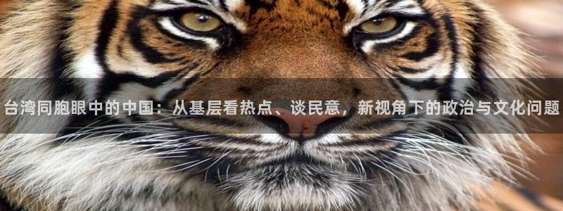 jdb电子登录入口