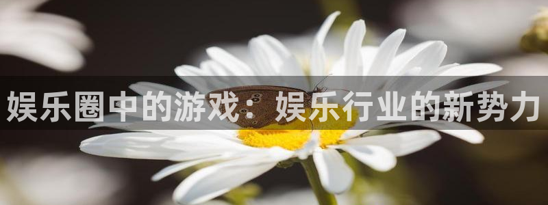 jdb电子哪个游戏好：娱乐圈中的游戏：娱乐行业的新势力