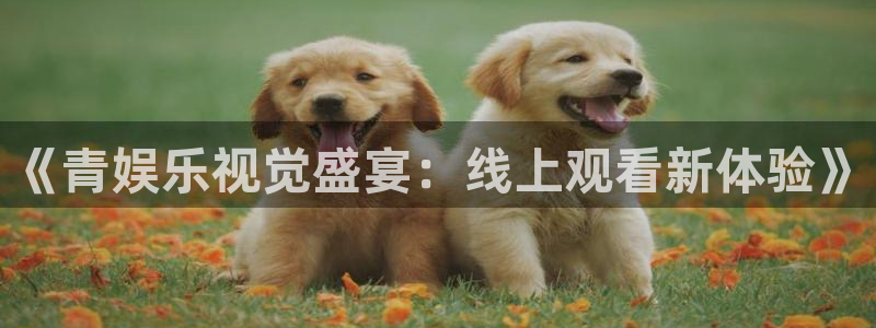 jdb电子龙王