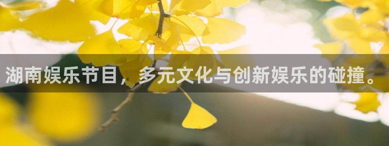 jdb电子官网登录入口：湖南娱乐节目，多元文化与创新娱乐的碰撞。