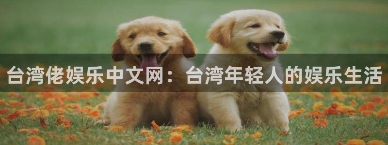 jdb电子龙王：台湾佬娱乐中文网：台湾年轻人的娱乐生活