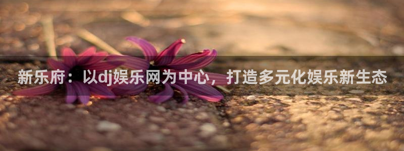 jdb电子：新乐府：以dj娱乐网为中心，打造多元化娱乐新生态