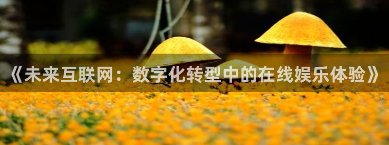 jdb电子网站：《未来互联网：数字化转型中的在线娱乐体验》