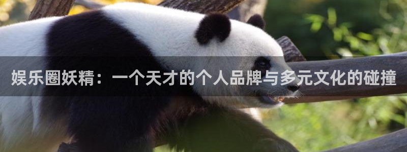 jdb电子平台注册：娱乐圈妖精：一个天才的个人品牌与多元文化的碰撞
