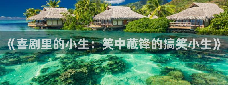 jdb电子游戏哪个容易赢：《喜剧里的小生：笑中藏锋的搞笑小生》