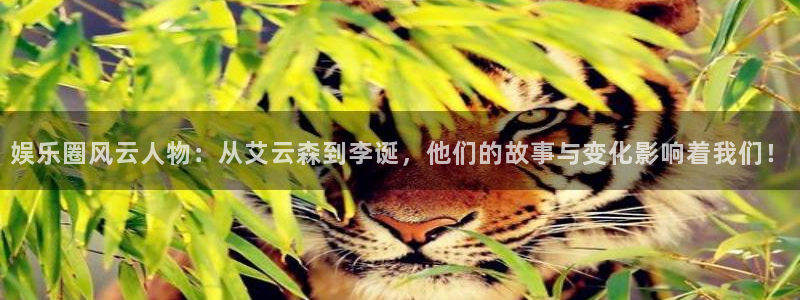 jdb电子官网入口app