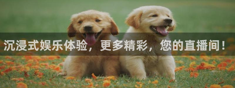 jdb电子游戏官网：沉浸式娱乐体验，更多精彩，您的直播间！