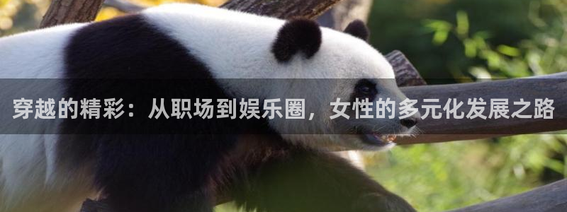 jdb电子游戏变脸大奖：穿越的精彩：从职场到娱乐圈，女性的多元化发展之路